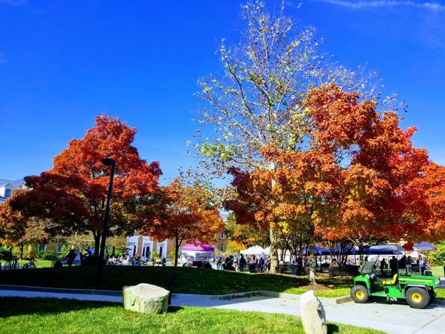 UMD campus in the fall 