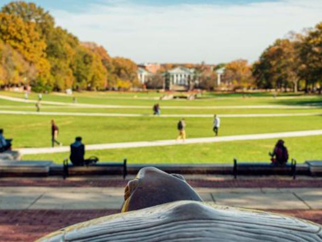 UMD campus and Testudo